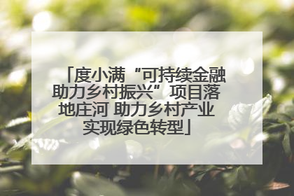 度小满“可持续金融助力乡村振兴”项目落地庄河 助力乡村产业实现绿色转型